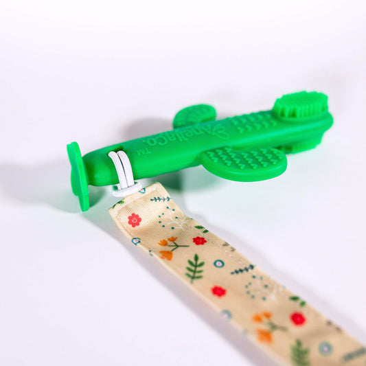 Cepillo Nopal / Limpiador de Encías